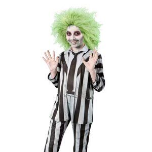 Beetlejuice Costume and Wig!